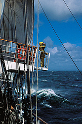 ��� - ����������� ������� (����� � ������ �������� �����������), ������