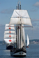 	Oosterschelde - Topsail shooner Netherland