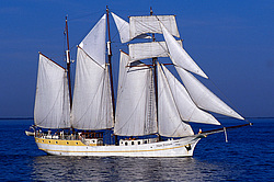 	Mare Frisium - topsail schooner