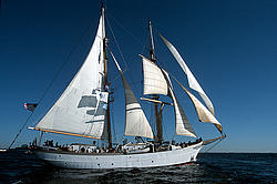 �������� ���� � ����