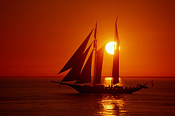 �������� ���� � ����