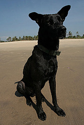 �����, ���, ������ �� �����