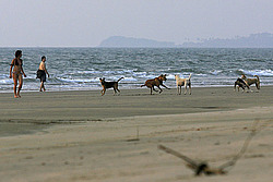 �����, ���, ������� �������� �����