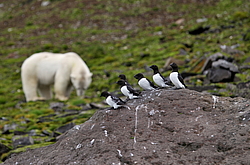 �� ����� <�������� ����������� �������� ���������� ������>