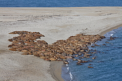 �� ����� <�������� ����������� �������� ���������� ������>