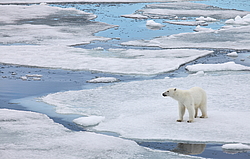 �� ����� <�������� ����������� �������� ���������� ������>