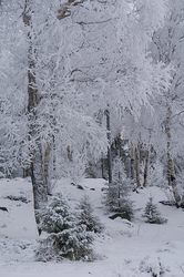 ������� ���������, �������� ����������