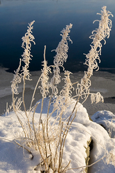 ������� ���������, �������� ����������