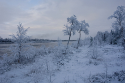 ������� ���������, �������� ����������