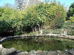 ������������� ����, ����, ��������� ������ ����