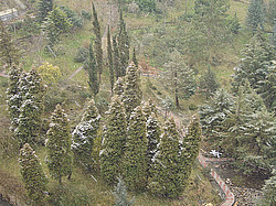 ����, �������� ���������� ������ ����