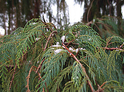 ����, �������� ���������� ������ ����