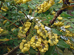 ����, �������� ���������� ������ ����