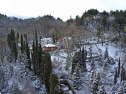 ����, �������� ���������� ������ ����