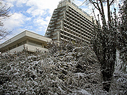 ����, �������� ���������� ������ ����