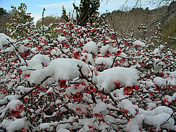 ����, �������� ���������� ������ ����