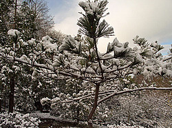 ����, �������� ���������� ������ ����