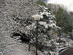 ����, �������� ���������� ������ ����