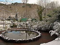 ����, �������� ���������� ������ ����