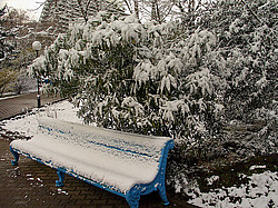 ����, �������� ���������� ������ ����