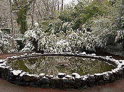 ����, �������� ���������� ������ ����