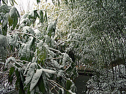 ����, �������� ���������� ������ ����