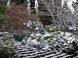 ����, �������� ���������� ������ ����