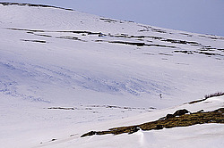 �������� ����������, ����������� ���������, ������ ��������� � ������������ ������