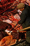 �������� ������ ���� (Eschrichtius robustus) �������, ������