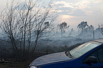 ������ � ����������� ������, ������ 2010